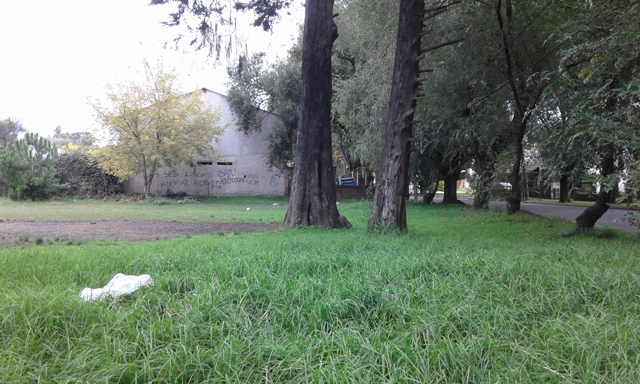 Imagen de (#Ref: 0005 ) 2 LOTES EN BOSQUE ALEGRE
